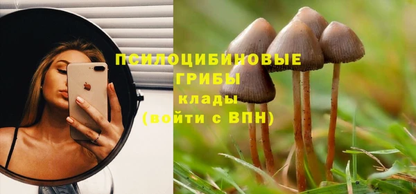 прущая мука Верхний Тагил