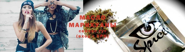 гашик Бородино