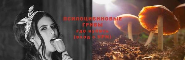 ГАЛЛЮЦИНОГЕННЫЕ ГРИБЫ Верхнеуральск