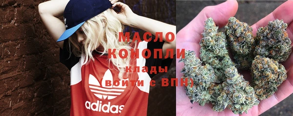 гашик Бородино