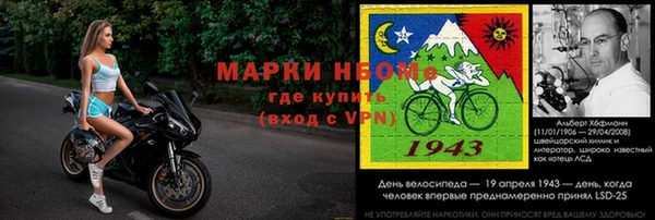 гашик Бородино