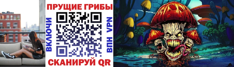 Галлюциногенные грибы MAGIC MUSHROOMS наркотики Владимир